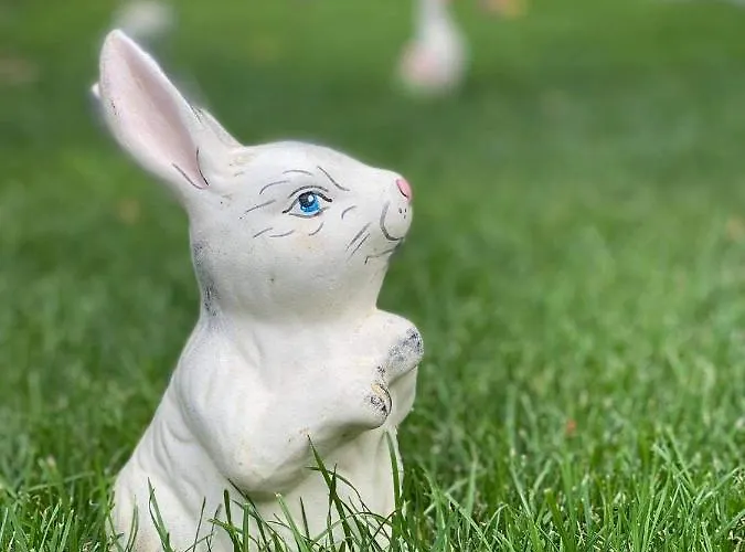 Kostovi * Kiten (Burgas)