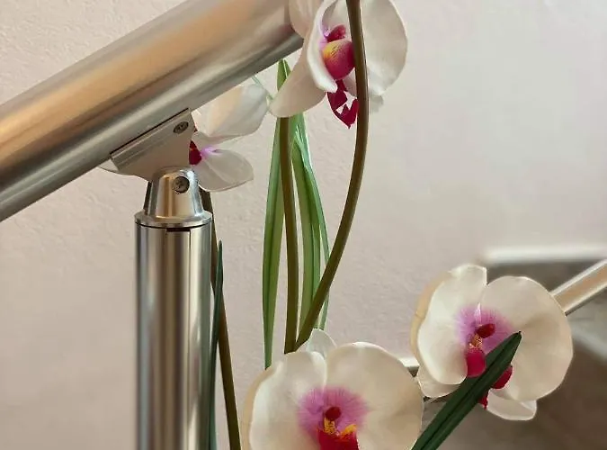 Kostovi * Kiten (Burgas)