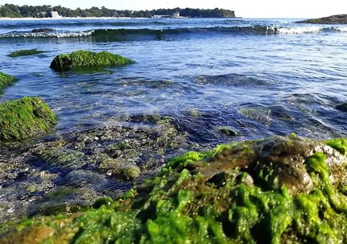 게스트하우스 Kostovi *